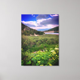 Colorado Mountain Stretched Canvas Print