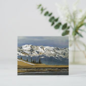 Colorado Mountain Winter Snow-kerstKaart Briefkaart (Staand voorkant)