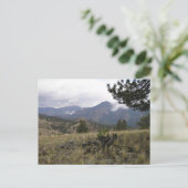Colorado Mountains Briefkaart (Staand voorkant)