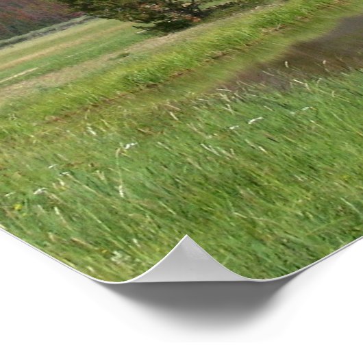 Colorado Mountains Poster (Hoek)