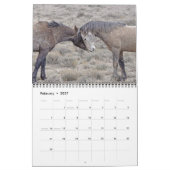 Colorado Mustangs Calendar Kalender (Feb 2027)