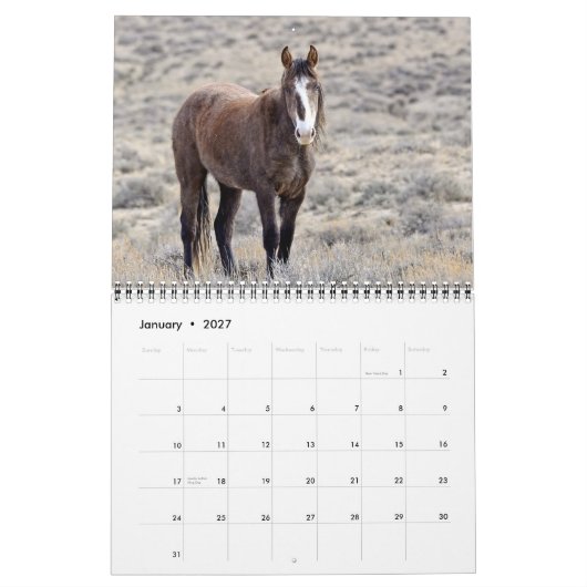Colorado Mustangs Calendar Kalender (Jan 2027)