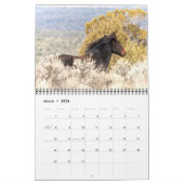 Colorado Mustangs Calendar Kalender (Mar 2026)
