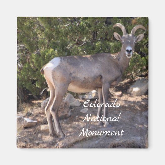 Colorado National Monument Magneet (Voorkant)