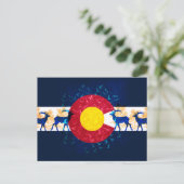 Colorado natuur, briefkaart voor kunstlandschap (Staand voorkant)
