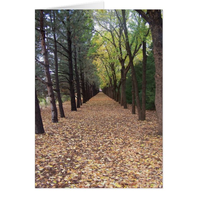 Colorado-pad (Voorkant)