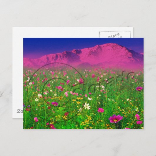 Colorado, pikes Peak Mountain Briefkaart (Voorkant / Achterkant)