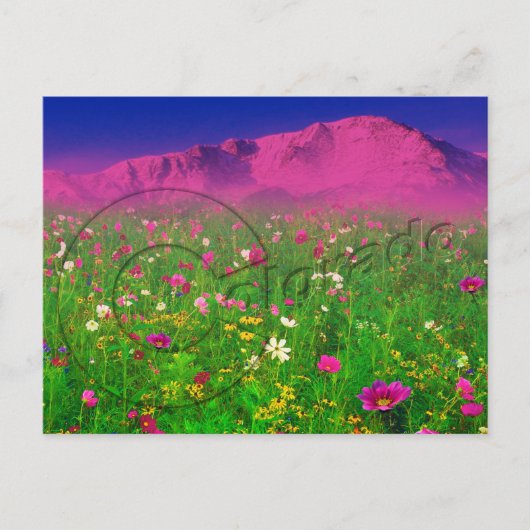 Colorado, pikes Peak Mountain Briefkaart (Voorkant)