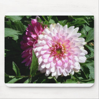 Colorado pink dahlia muismat