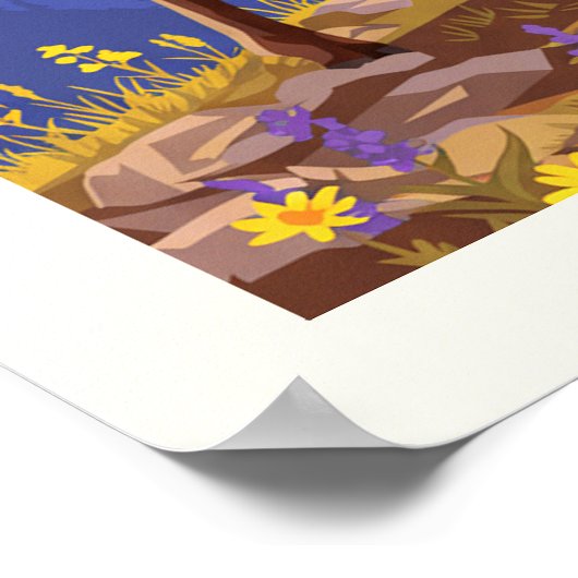  Colorado Poster (Hoek)