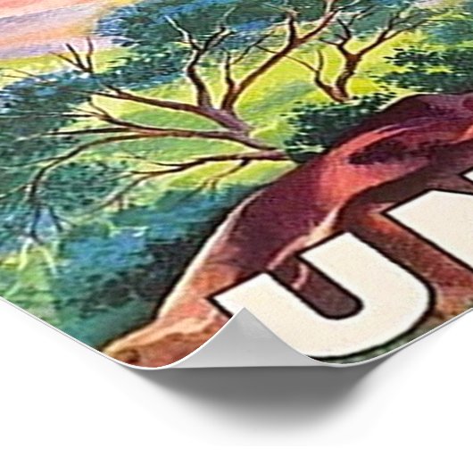 COLORADO POSTER (Hoek)