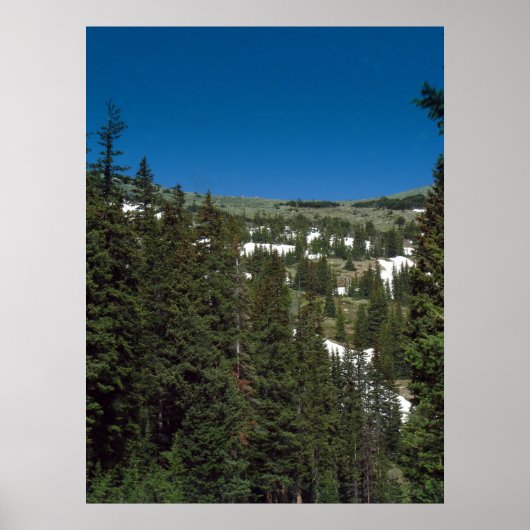 Colorado Poster (Voorkant)