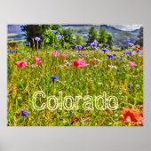 Colorado poster van wilde bloemen (Voorkant)