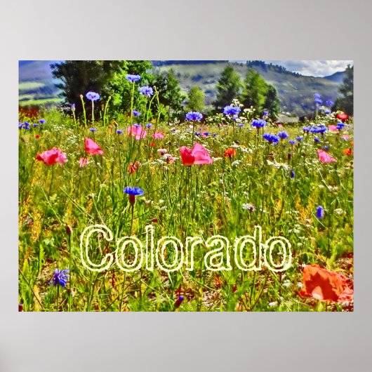 Colorado poster van wilde bloemen (Voorkant)