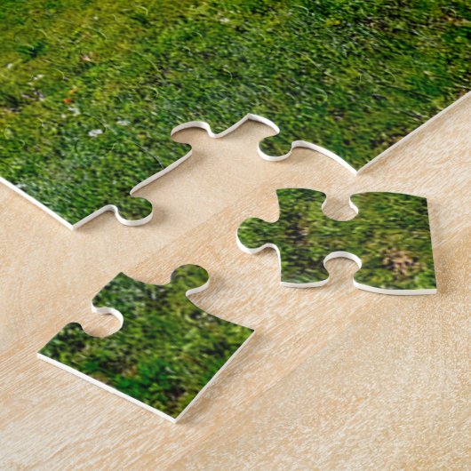 Colorado Ranch. Legpuzzel (Zijkant)