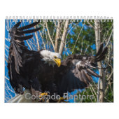 Colorado Raptor Calendar Kalender (Hoes)