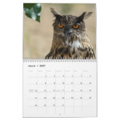 Colorado Raptor Calendar Kalender (Mar 2027)