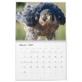 Colorado Raptor Calendar Kalender (Feb 2027)