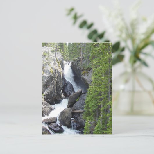 Colorado Rawah Herfsten Briefkaart (Staand voorkant)