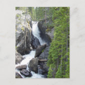 Colorado Rawah Herfsten Briefkaart (Voorkant)