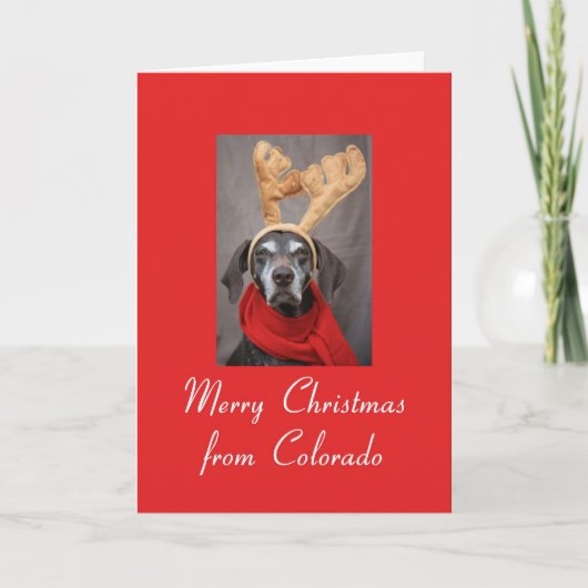 Colorado reinder pointer Merry x-mas Feestdagen Kaart (Voorkant)
