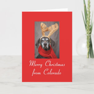 Colorado reinder pointer Merry x-mas Feestdagen Kaart