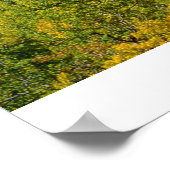 Colorado Rockies in de Herfst Poster (Hoek)