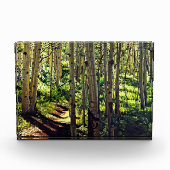 Colorado Rocky Mountain Espenbomen Fotoblokken (Voorkant)