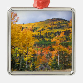 Colorado Rocky Mountains Aspen Bomen Metalen Ornament