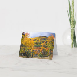 Colorado Rocky Mountains Aspen Trees Herfst geblad Kaart