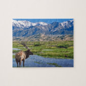 Colorado Rocky Mountains Elk Legpuzzel (Horizontaal)