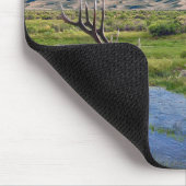 Colorado Rocky Mountains Elk Muismat (Hoek)