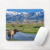 Colorado Rocky Mountains Elk Muismat (Met muis)