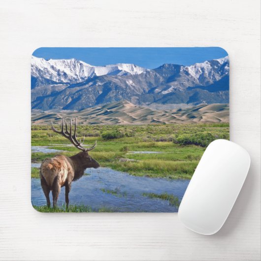 Colorado Rocky Mountains Elk Muismat (Met muis)
