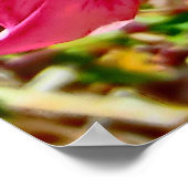 Colorado roze columbine poster (Hoek)