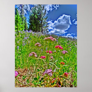 Colorado schilderachtig canvasafdruk poster