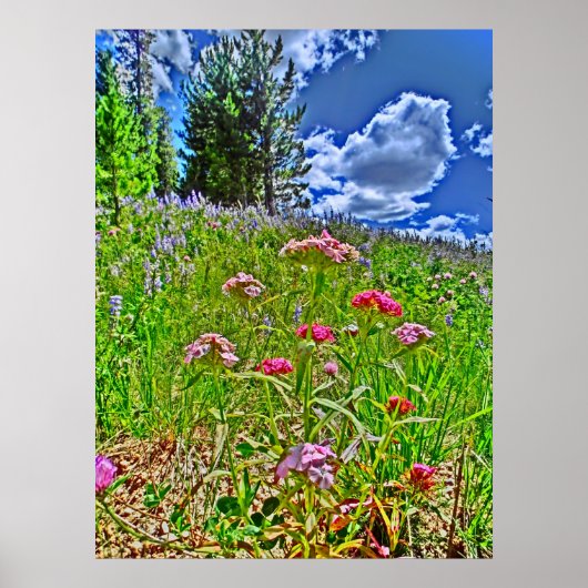 Colorado schilderachtig canvasafdruk poster (Voorkant)