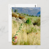 Colorado September Briefkaart (Voorkant / Achterkant)