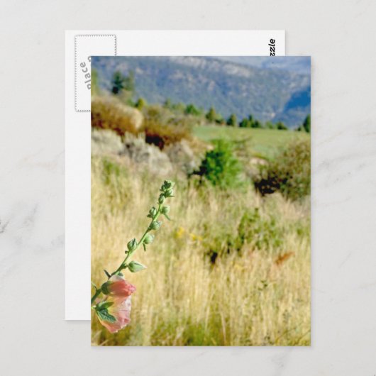 Colorado September Briefkaart (Voorkant / Achterkant)