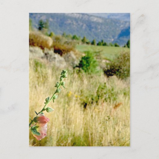 Colorado September Briefkaart (Voorkant)