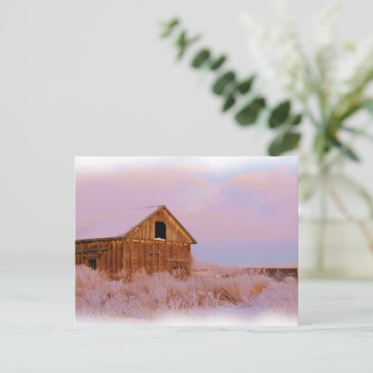 COLORADO SHED BRIEFKAART (Staand voorkant)