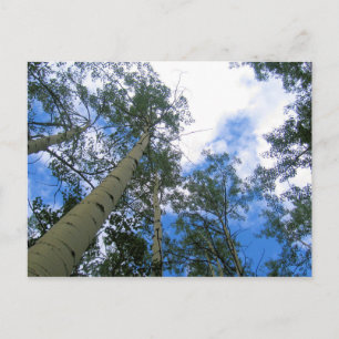 Colorado Sky Door de Espen Ansichtkaart Briefkaart