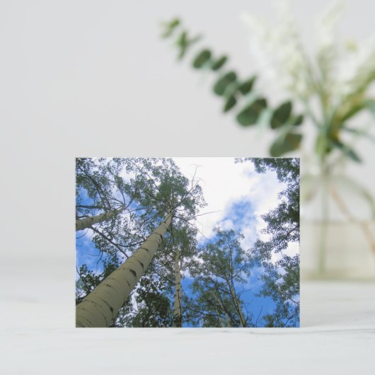 Colorado Sky Thru het Briefkaart van Aspens (Staand voorkant)