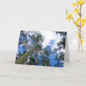 Colorado Sky Wenskaart Kaart (Gele Bloem)