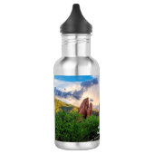 Colorado South Gateway Morning Waterfles (Links)