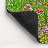 Colorado Spring mousepad Muismat (Hoek)