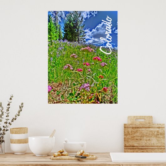 Colorado spring poster (Keuken)