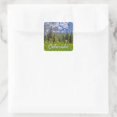 Colorado Spring sticker (Tas)