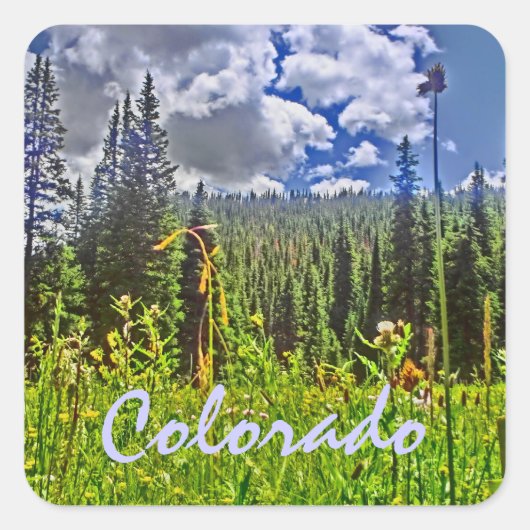 Colorado Spring sticker (Voorkant)