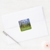 Colorado Spring sticker (Envelop)
